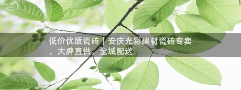 杏鑫官方平台怎么样
