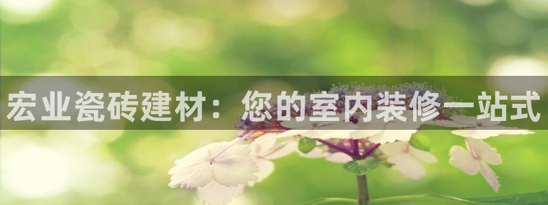 杏鑫娱乐客服
