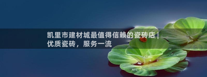 杏鑫平台登录地址查询