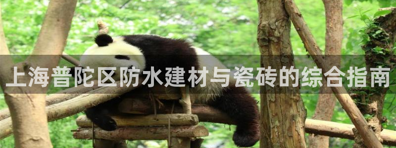 杏鑫招商总代