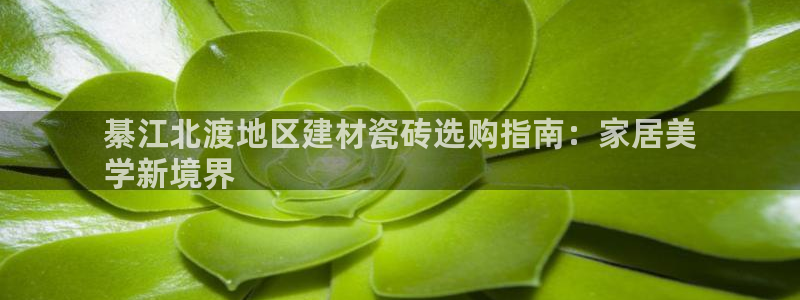 杏鑫平台代理怎么样赚钱