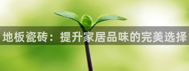 杏鑫注册登录代理公司