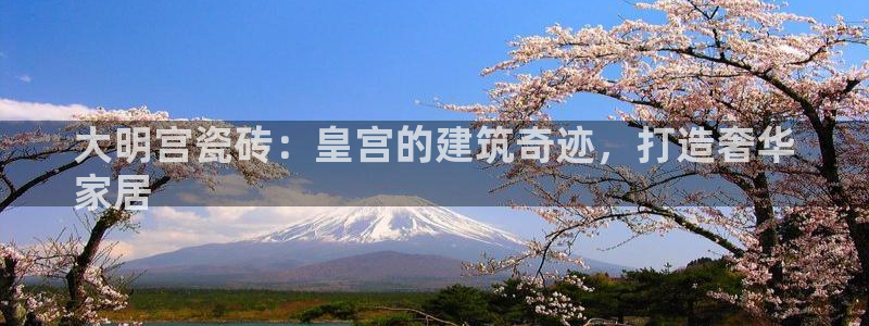 杏鑫官网最新信息新闻