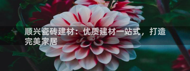 杏鑫手机客户端