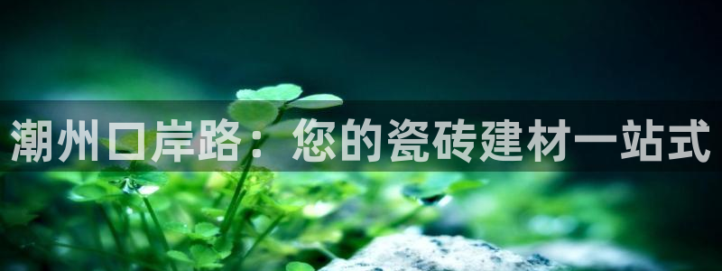 杏鑫平台代理注册登录不了怎么办呀