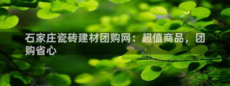 杏鑫平台代理注册流程及费用
