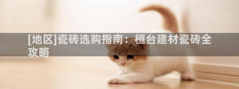 杏鑫平台平台娱乐