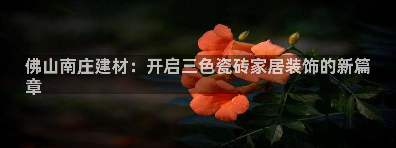 杏鑫平台代理注册登录不了怎么办呀苹果