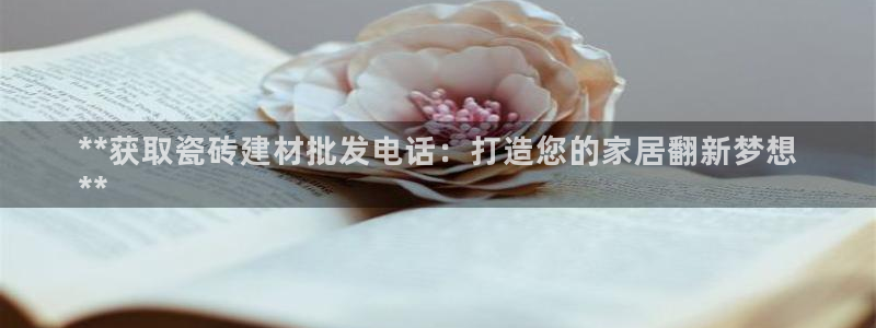 杏鑫娱乐开发团队