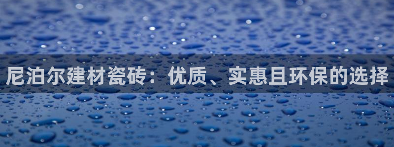 杏鑫娱乐开发团队