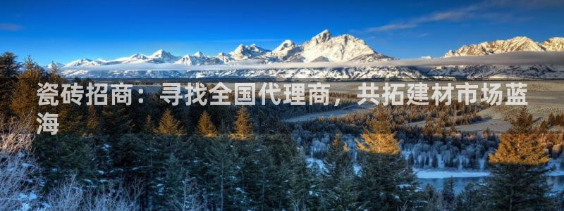 杏鑫平台注册网址是什么