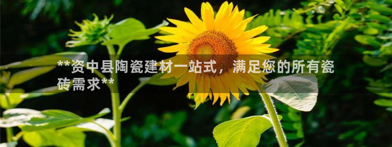 杏鑫官方平台怎么样啊安全吗
