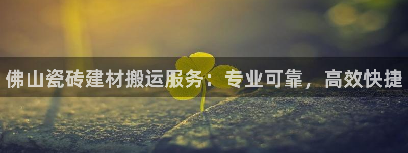 杏鑫官方平台怎么样啊