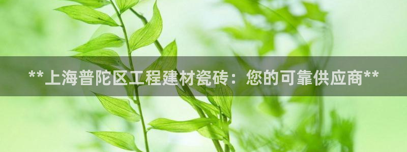杏鑫平台注册网址是多少