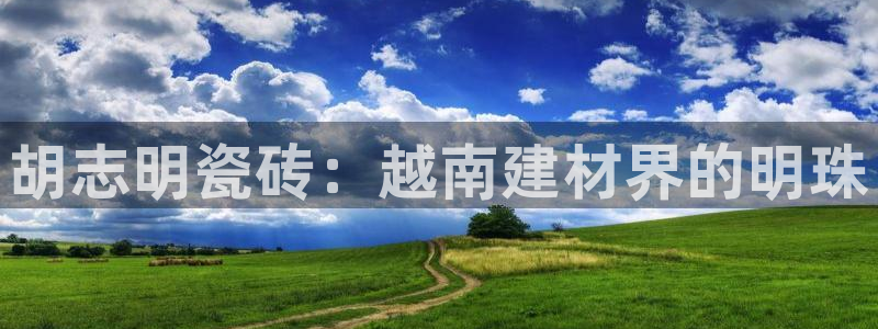 杏鑫官方平台怎么样啊