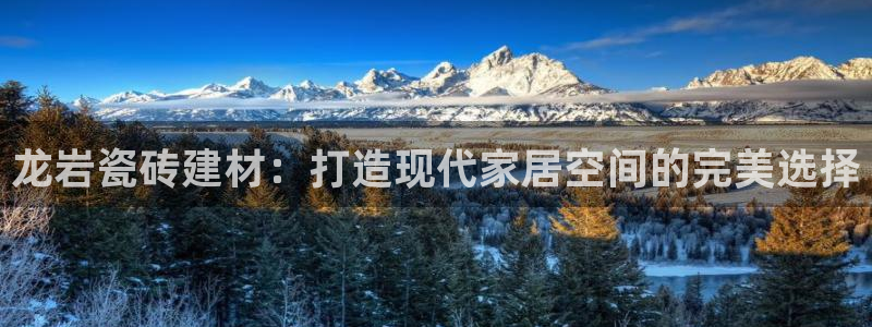 杏鑫平台登录注册