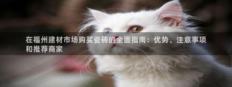 杏鑫官方平台怎么样啊可靠吗