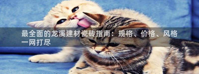 杏鑫官网注册账号怎么注册不了