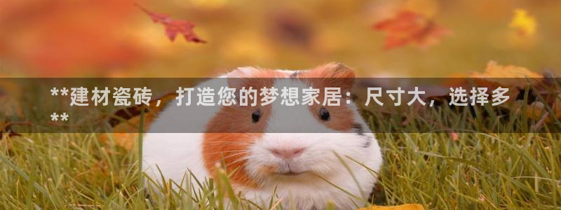 杏鑫平台提供