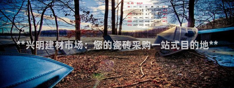 杏鑫官网最新信息