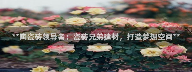 杏鑫平台广7O777