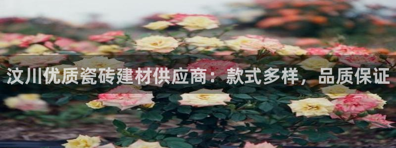 杏鑫娱乐官方网站客户端