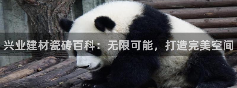 杏鑫注册平台官方网站是什么