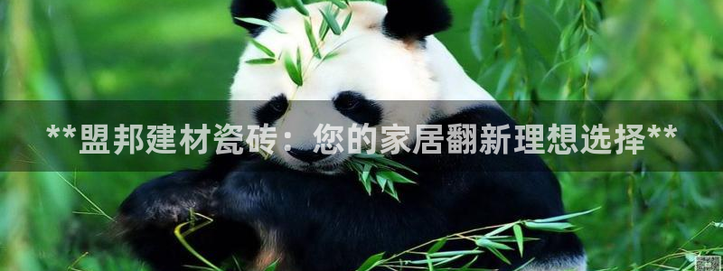 杏鑫娱乐官网下载