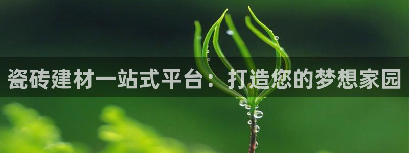 杏鑫平台招商电话号码