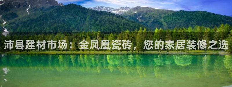 杏鑫平台注册登录
