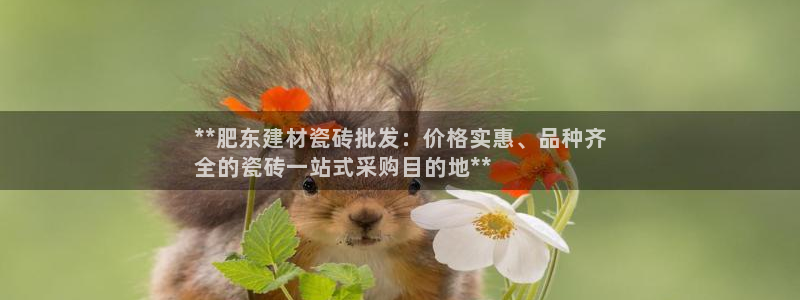 杏鑫注册