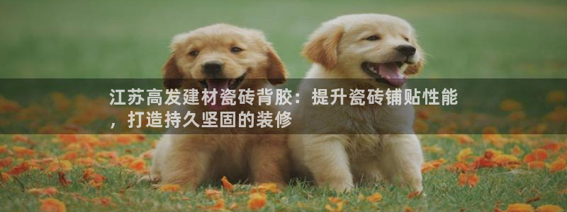杏鑫官网最新信息新闻