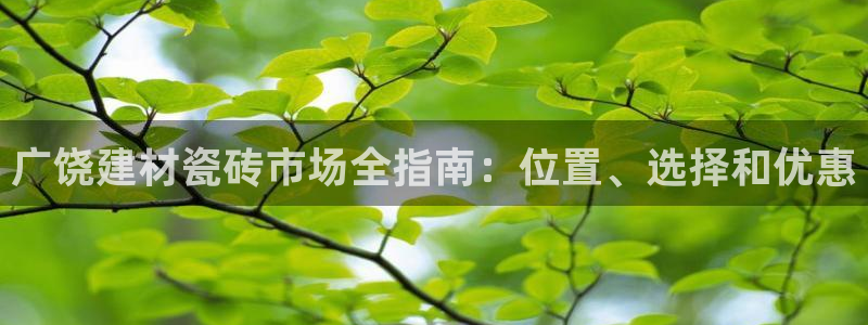 杏鑫测速注册