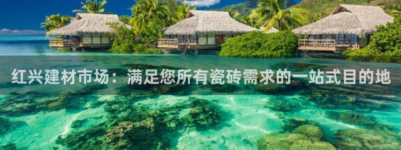 杏鑫官网注册账号怎么注册