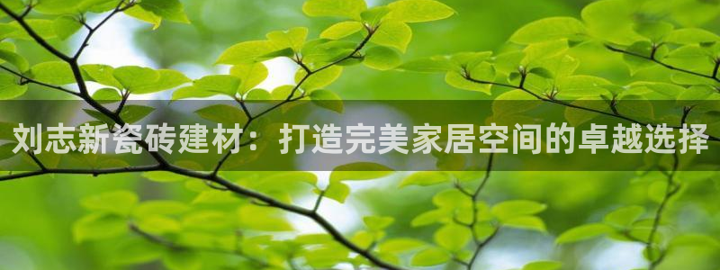 杏鑫平台代理怎么样