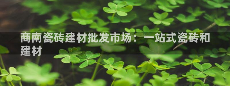 杏鑫平台招商电话