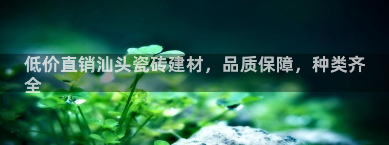 杏鑫注册平台官方网站入口