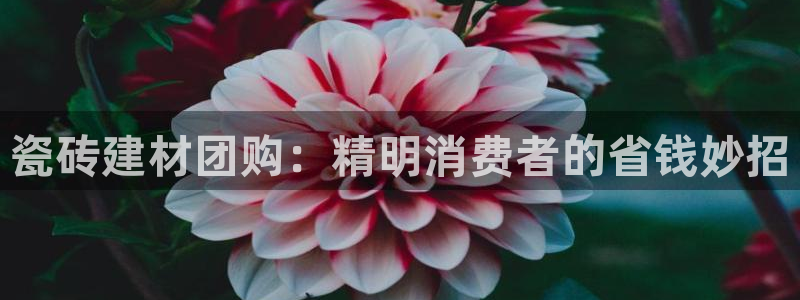 杏鑫娱乐官网