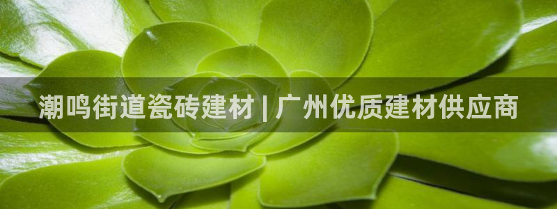 杏鑫注册登录平台