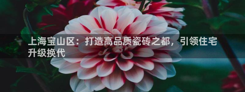 杏鑫官方平台怎么样啊可靠吗