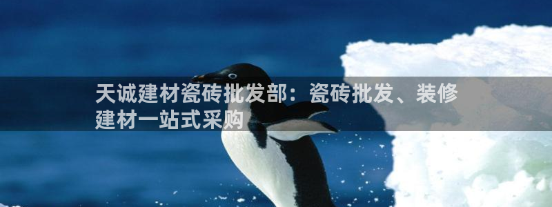 杏鑫有亏损返点吗