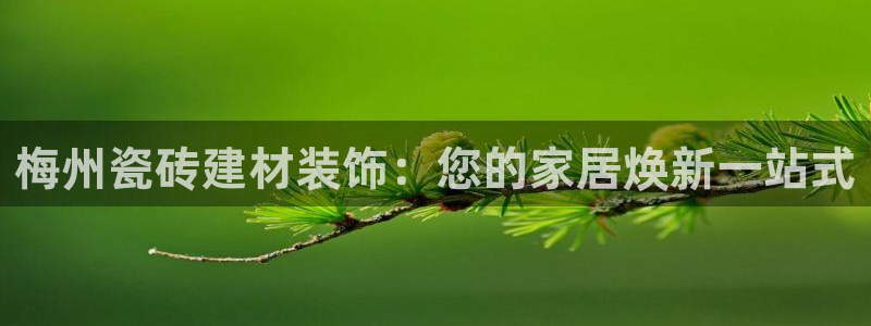 杏鑫注册平台官方网站是什么