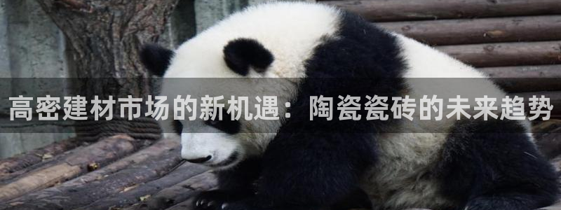 杏鑫平台靠谱吗