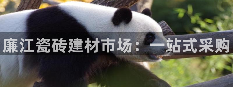 杏鑫平台代理注册登录不了怎么办呀视频