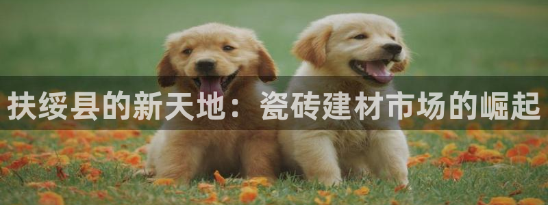 杏鑫平台正规吗是真的吗