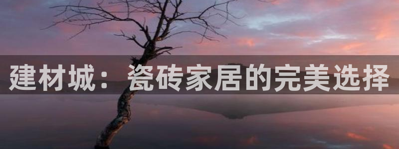 杏鑫平台号7O777