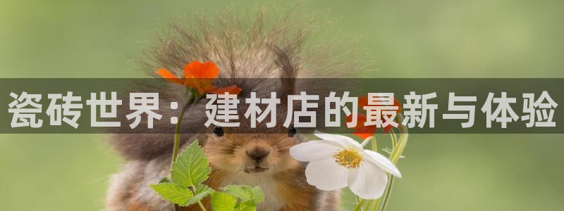 杏鑫平台怎么样黑钱吗是真的吗还是假的