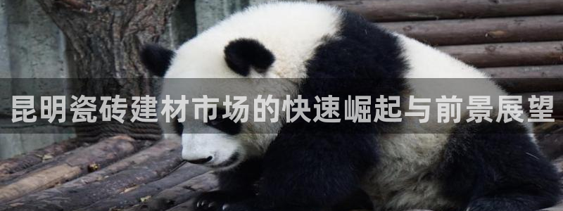 杏鑫平台代理注册登录不了怎么办呀苹果