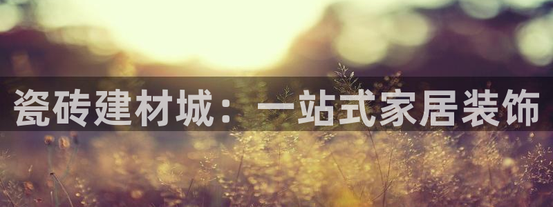 杏鑫平台注册登录