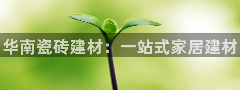 杏鑫平台代理怎么样啊